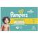 Pampers Swaddlers Size 6 16+kg 84pcs