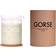 Gorse Beige Bougie Parfumée 200g