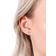 Christina Crayfish Earrings - Gold