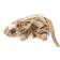Dog & Co. Country Rat Dog Toy S