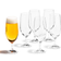 Leonardo Daily Ölglas 36cl 6st