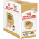 Royal Canin Labrador Retriever Adult Gravy Dog Food