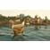 Anno 1404: Gold Edition (PC)