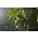 Philips Hue Outdoor Extension Black Lampdel