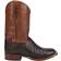 Tony Lama Canyon Caiman - Brown