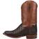 Tony Lama Canyon Caiman - Brown