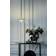 Nuura Blossi Gold/Clear Pendel ∅ 23cm