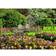 Ravensburger Keukenhof Gardens Pussel 1000 Bitar