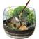 Clementoni Harry Potter Terrarium