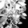 vidaXL Leaf Palettes Silver Taklampa