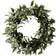 Ginger Ray Mistletoe Green Julpynt