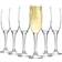 Argon - Champagne Glass 22cl 6pcs