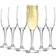 Argon - Champagneglas 22cl 6st
