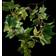 GadgetMonster Branch String Green Ljusslinga