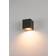 SLV Big Theo Anthracite Wall light