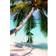 House of Hampton Tropical Beach Green Framed Art 51x76cm