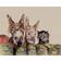 Jane Bannon WDC94810 Multicolour Framed Art 40x50cm