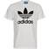 adidas T-Shirt adicolor Trefoil IV5353 Weiß Regular Fit