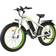 YinZhiBoo Electric Bike