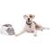 PetSafe Treat & Train Remote Reward Dog Trainer