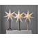 Star Trading Star On Foot Elice Nature Advent Star 85cm