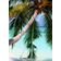 House of Hampton Tropical Beach Green Framed Art 51x76cm