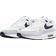 Nike Air Max 1 M - Platinum Tint/Wolf Grey/Dark Obsidian