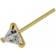 Siam Straight End Triangular Jeweled Nose Stud - Gold/Transparent