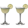 Riedel Specific Drinkglas 2st