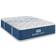 Bear Elite Hybrid Bed Mattress