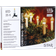 Star Trading Candle Lights SVEA White Weihnachtsbaumbeleuchtung 25 Lampen