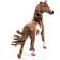 Schleich Pinto Stallion 13794