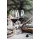 Holmegaard Cabernet Red Wine Glass 52cl 6pcs