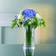 Nachtmann Sapphire Transparent Vas 30cm