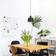 Artek Golden Bell Black Pendant Lamp 17cm