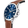 Festina Swiss Made (20025/3)