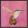 Beachcrest Home Sweet Hummingbird Black Framed Paper Print Framed Art 95x95cm