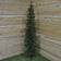 SnowTime Pencil Pine Slim Green Christmas Tree 182.9cm