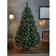 Premier Decorations Rocky Mountain Green Christmas Tree 180cm