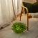 Tadé Kluster Grape Green Table Lamp 24cm