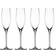 Spiegelau Authentis Champagneglas 19cl 4stk
