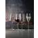 Spiegelau Definition Bordeaux Rödvinsglas 75cl 2st