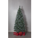 Star Trading Forest Hall Green Julgran 210cm