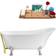 Streamline Claw Foot Bathtub (N342CH-GLD) 160.0z71.9