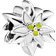 Pandora Edelweiss Flower Charm - Silver/White/Green