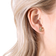 Christina London Palm Leaves Ear Studs - Gold