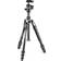 Manfrotto Befree 2N1