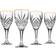 Godinger Dublin Platinum Goblets Drink Glass 16fl oz 4