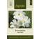 Impecta Rosenskära 'Vega White'