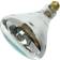 Halco 404068 - BR40CL250/1 Halogen Lamps 250 W E26